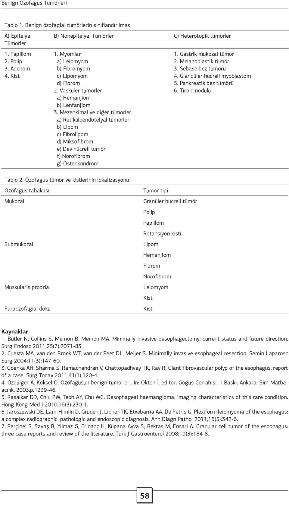 Mezenkimal ve diğer tümörler a) Retiküloendotelyal tümörler b) Lipom c) Fibrolipom d) Miksofibrom e) Dev hücreli tümör f) Nörofibrom g) Osteokondrom 1. Gastrik mukozal tümör 2. Melanoblastik tümör 3.