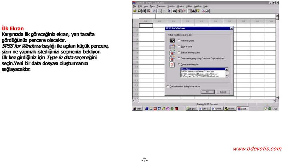 SPSS for Windows başl ğ ile aç lan küçük pencere, sizin ne yapmak