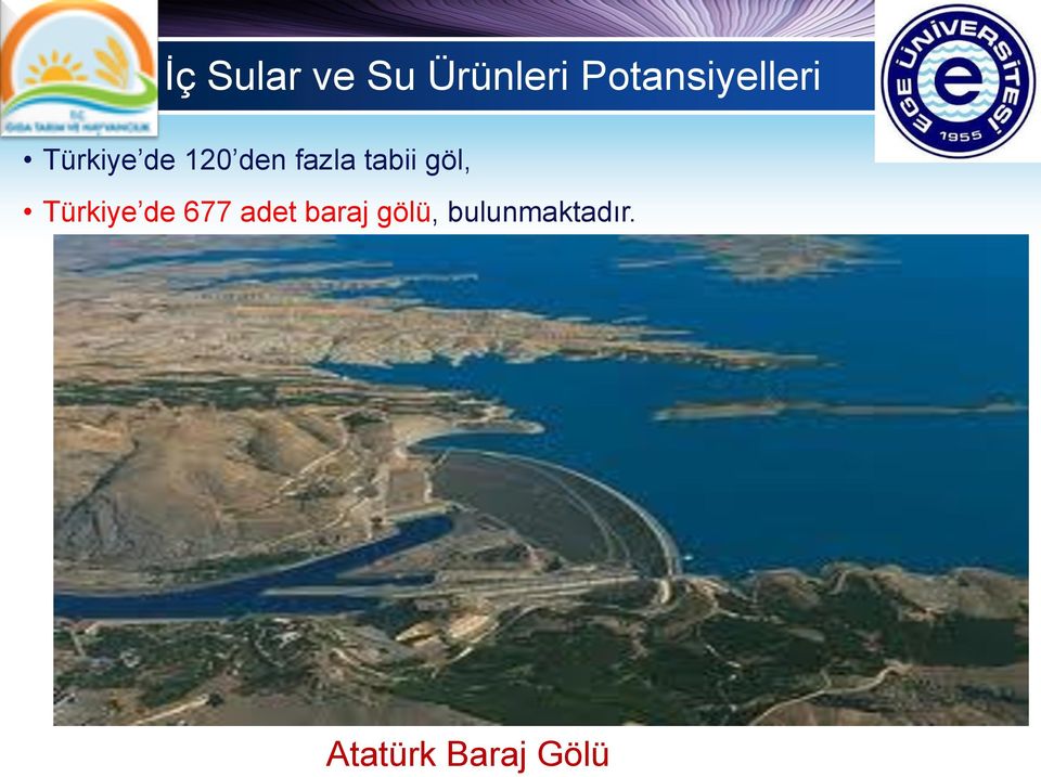 fazla tabii göl, Türkiye de 677