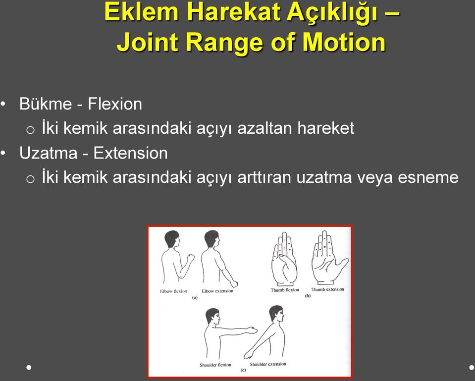 azaltan hareket Uzatma - Extension o İki