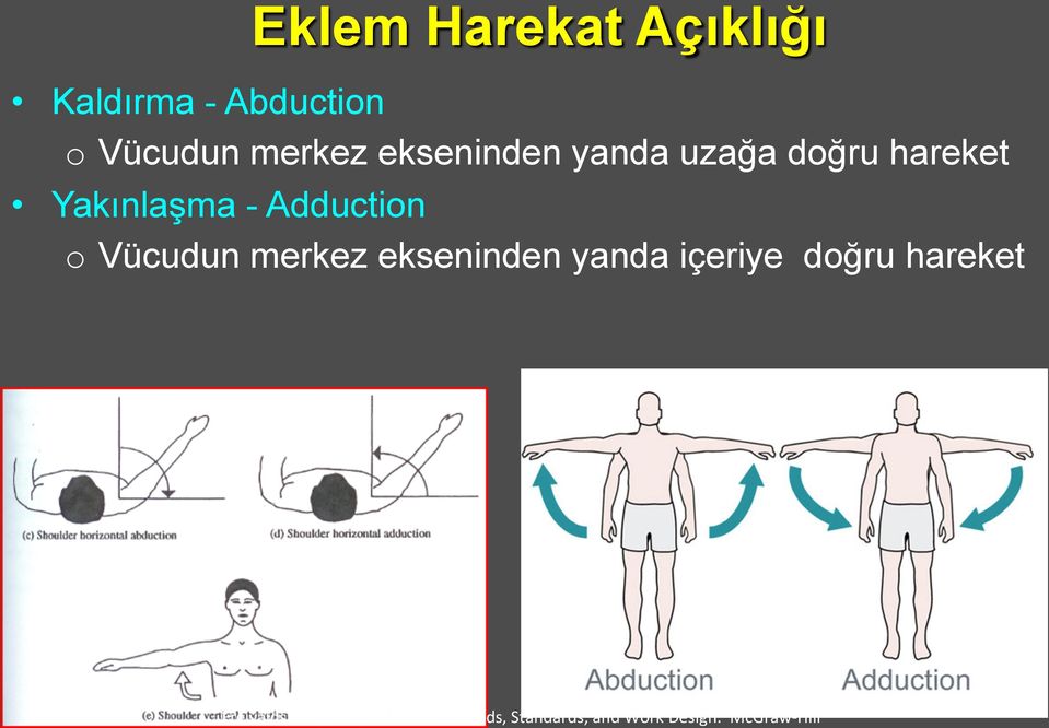 McGraw- Hill Eklem Harekat Açıklığı Kaldırma - Abduction o