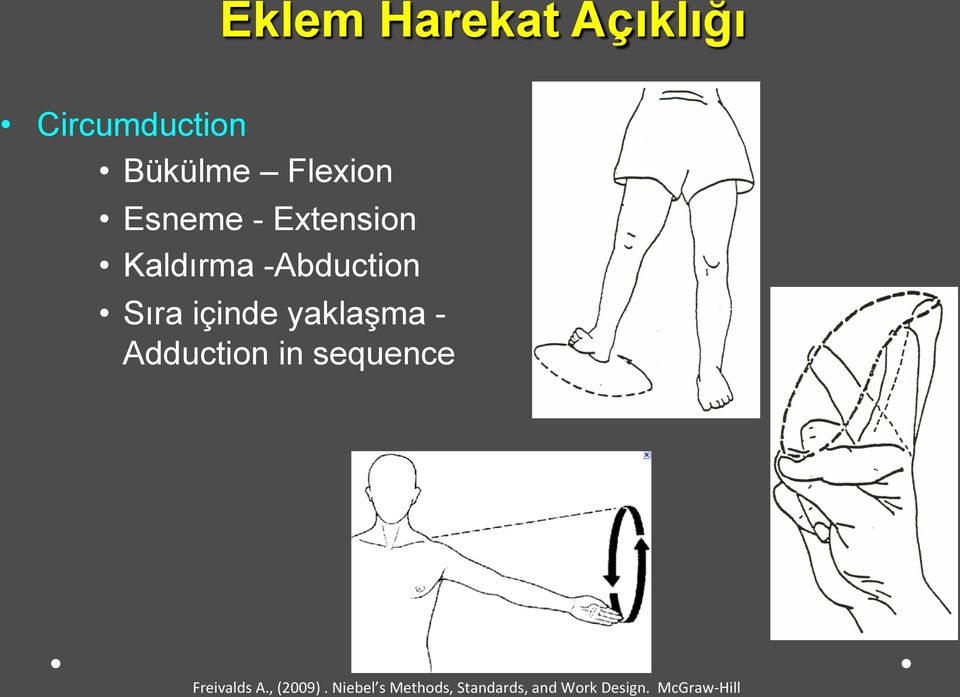 McGraw- Hill Eklem Harekat Açıklığı Circumduction