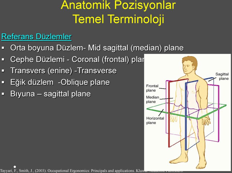 -Transverse Eğik düzlem -Oblique plane Bıyuna sagittal plane Tayyari, F., Smith, J.