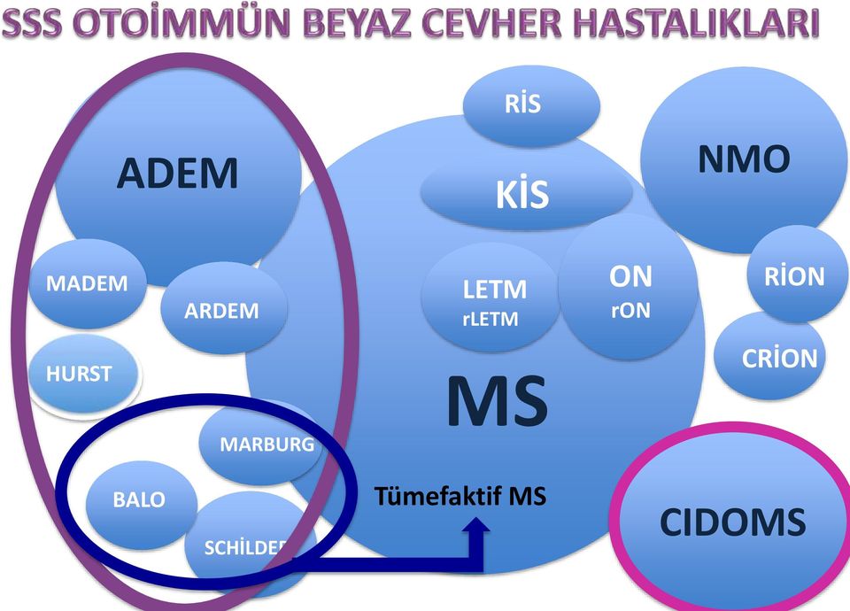 RİON HURST MS CRİON MARBURG