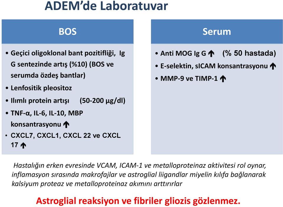 CXCL7, CXCL1, CXCL 22 ve CXCL 17 Hastalığın erken evresinde VCAM, ICAM-1 ve metalloproteinaz aktivitesi rol oynar, inflamasyon sırasında makrofajlar ve