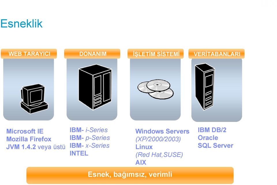 2 veya üstü IBM- i-series IBM- p-series IBM- x-series INTEL
