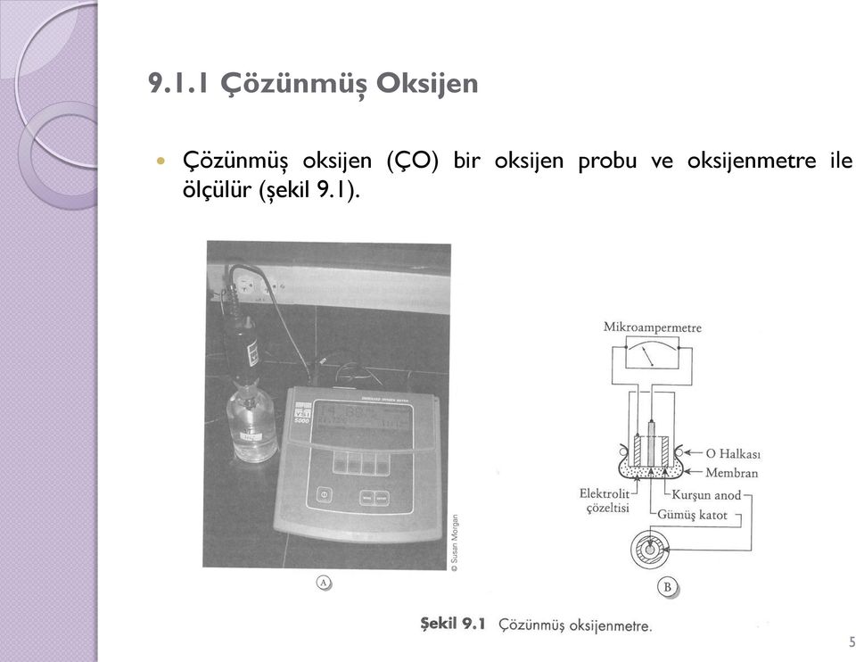 oksijen probu ve