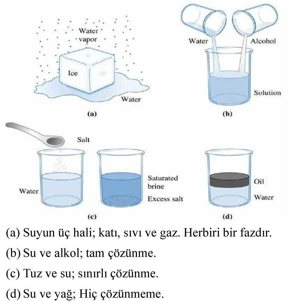 (b) Su ve alkol; tam çözünme.