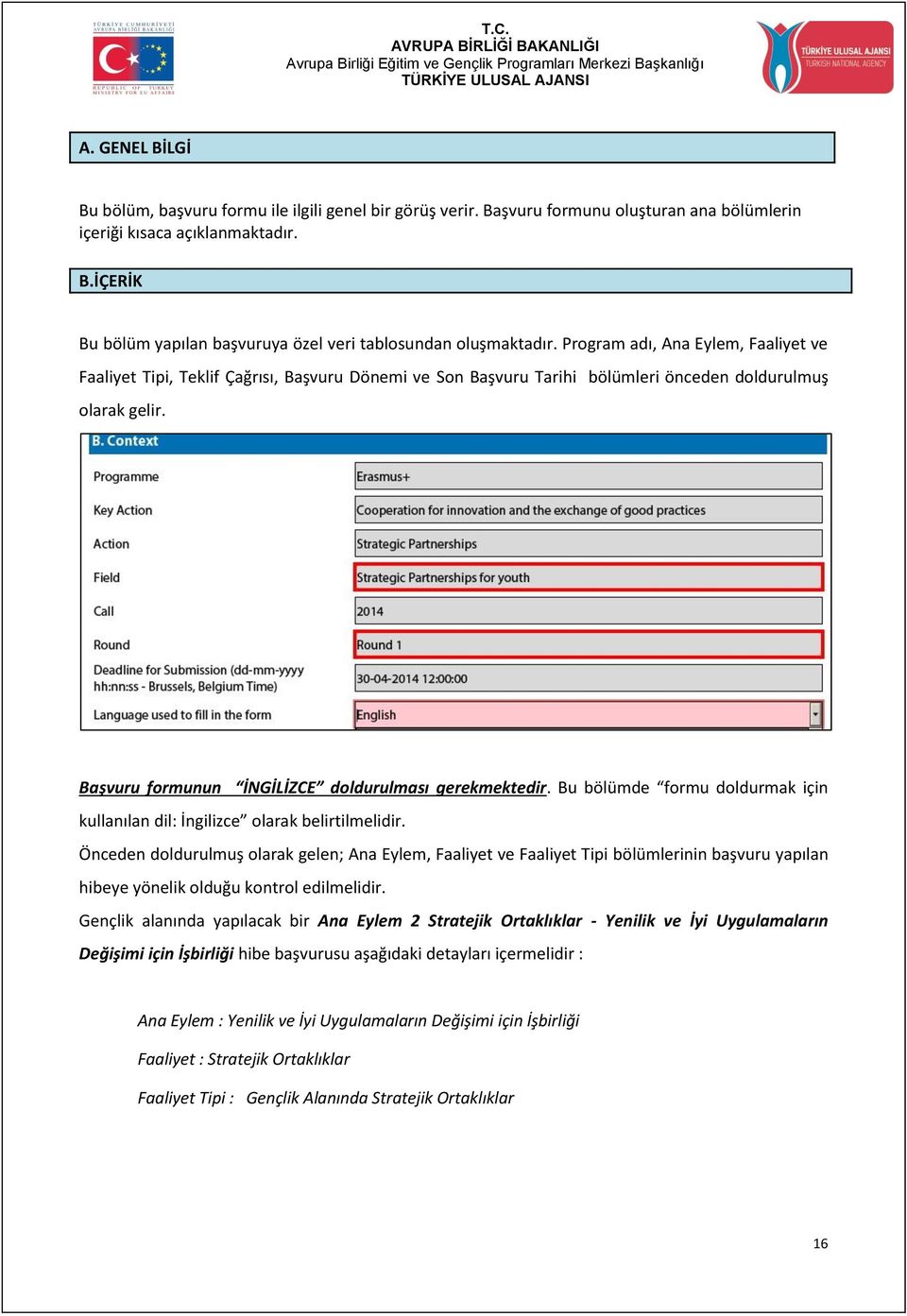 Başvuru formunun İNGİLİZCE doldurulması gerekmektedir. Bu bölümde formu doldurmak için kullanılan dil: İngilizce olarak belirtilmelidir.