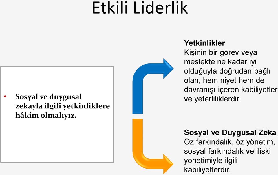 hem niyet hem de davranışı içeren kabiliyetler ve yeterliliklerdir.