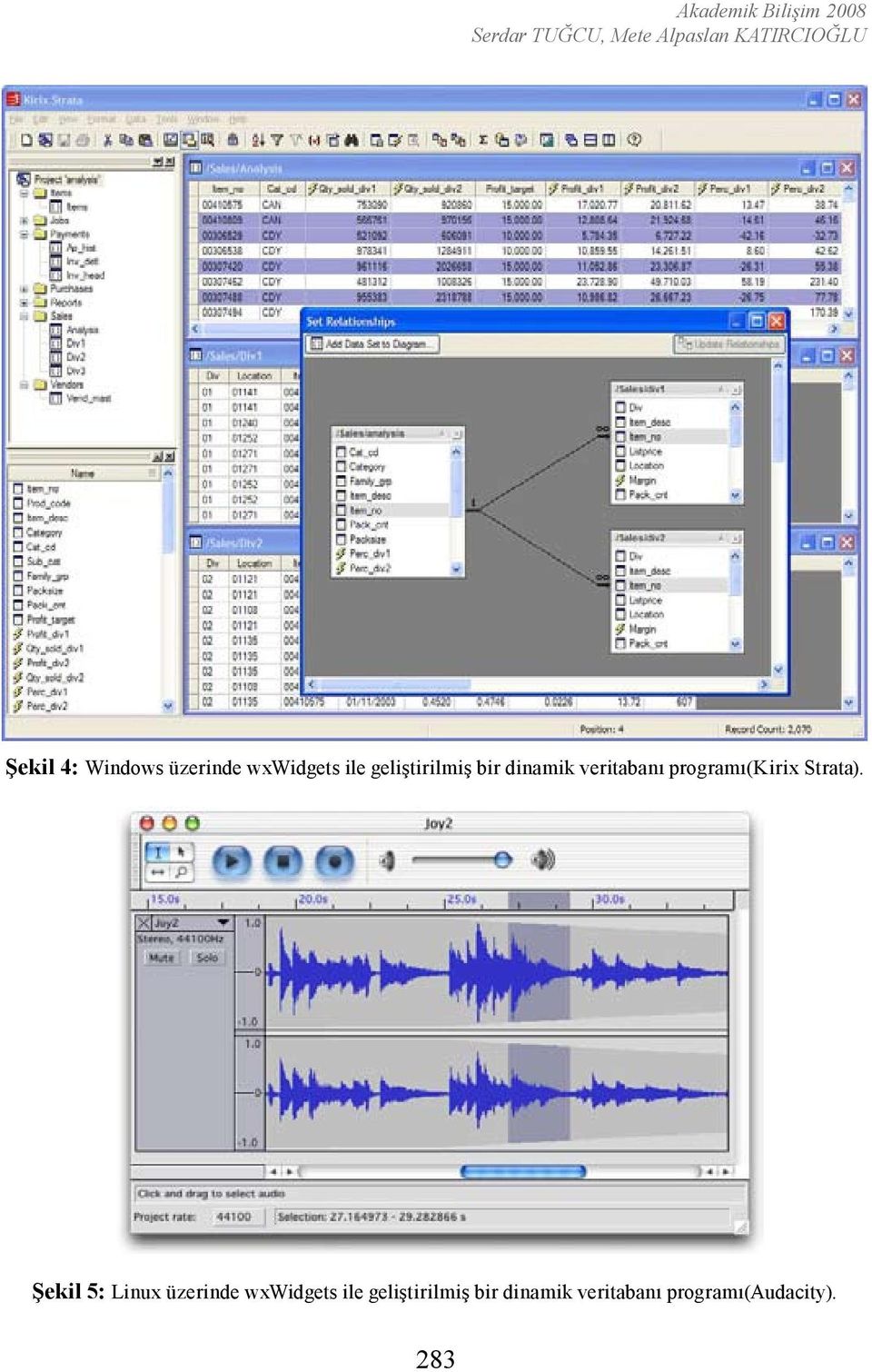 programı(kirix Strata).