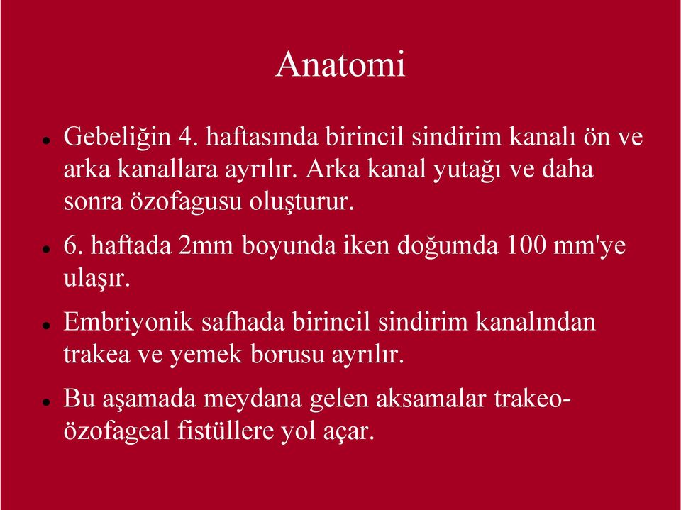 haftada 2mm boyunda iken doğumda 100 mm'ye ulaşır.