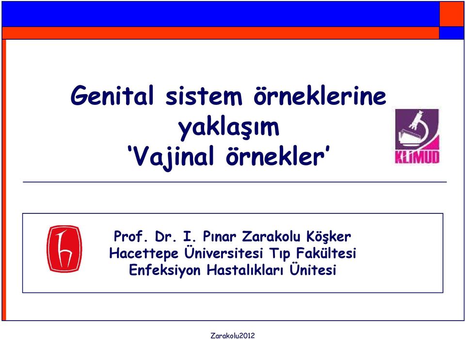 Pınar Zarakolu Köşker Hacettepe