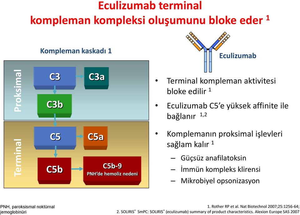 C5b-9 PNH de hemoliz nedeni Güçsüz anafilatoksin İmmün kompleks klirensi Mikrobiyel opsonizasyon PNH, paroksismal noktürnal jemoglobinüri 1.