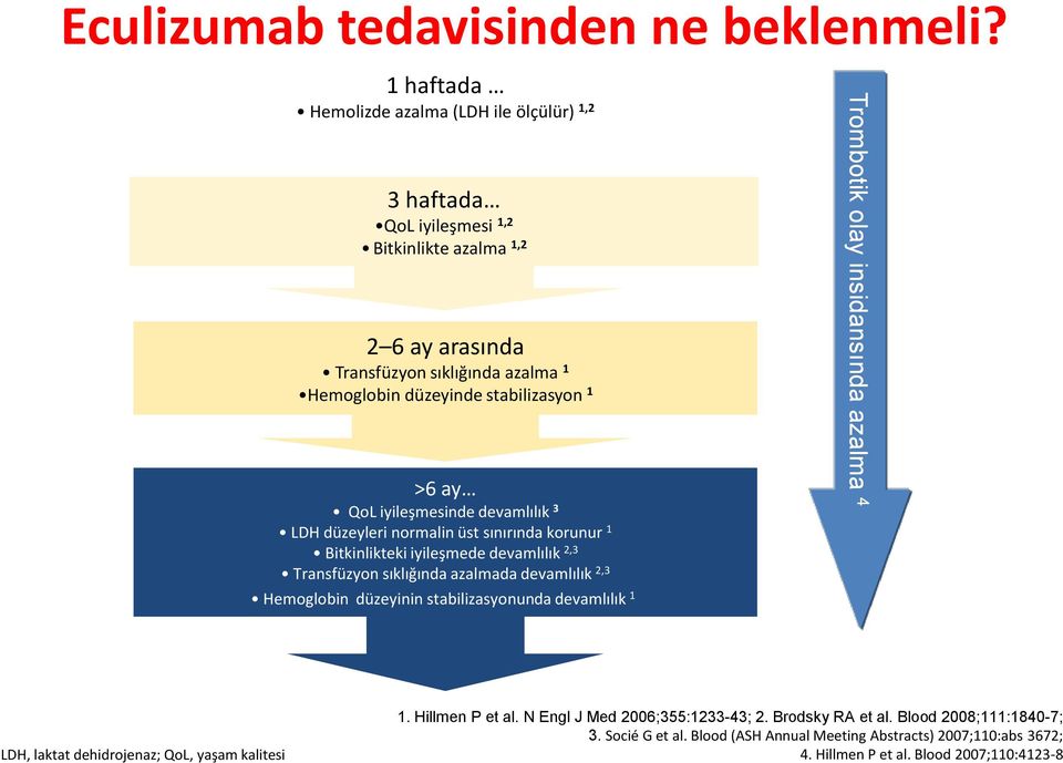 >6 ay QoL iyileşmesinde devamlılık 3 LDH düzeyleri normalin üst sınırında korunur 1 Bitkinlikteki iyileşmede devamlılık 2,3 Transfüzyon sıklığında azalmada devamlılık 2,3 Hemoglobin