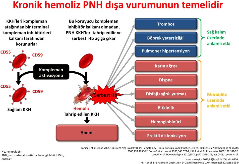 edilen KKH Anemi Serbest Hb Karın ağrısı Dispne Disfaji (ağrılı yutma) Bitkinlik Hemoglobinüri Erektil disfonksiyon Morbidite üzerinde anlamlı etki Hb, hemoglobin; PNH, paroxksismal noktürnal