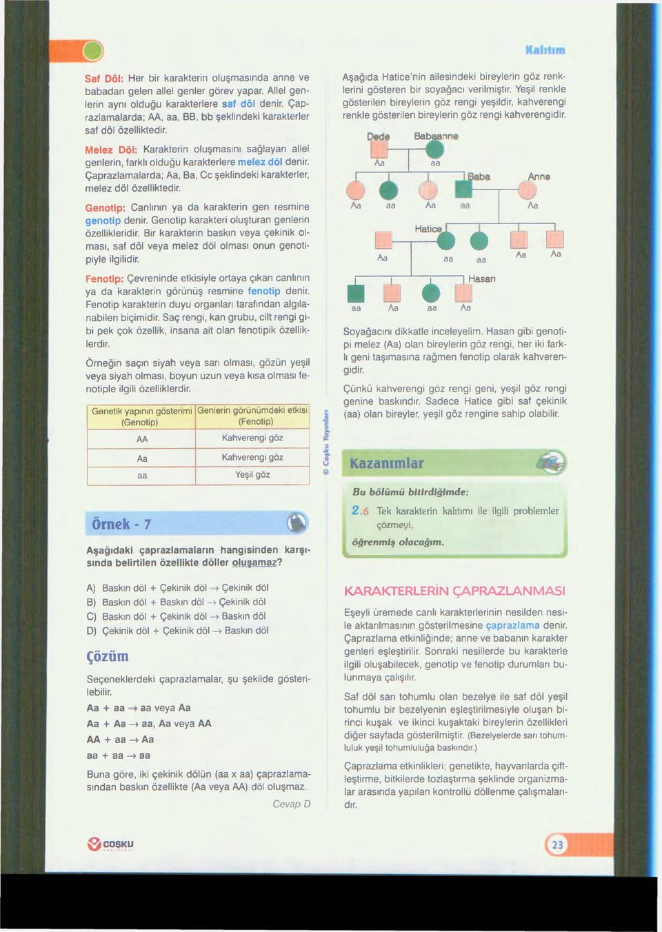 Çaprazlamalarda; Aa, Ba, Cc şeklindeki karakterler, melez döl özelliktedir. Genotip: Canlının ya da karakterin gen resmine genotip denir. Genotip karakteri oluşturan genlerin özellikleridir.