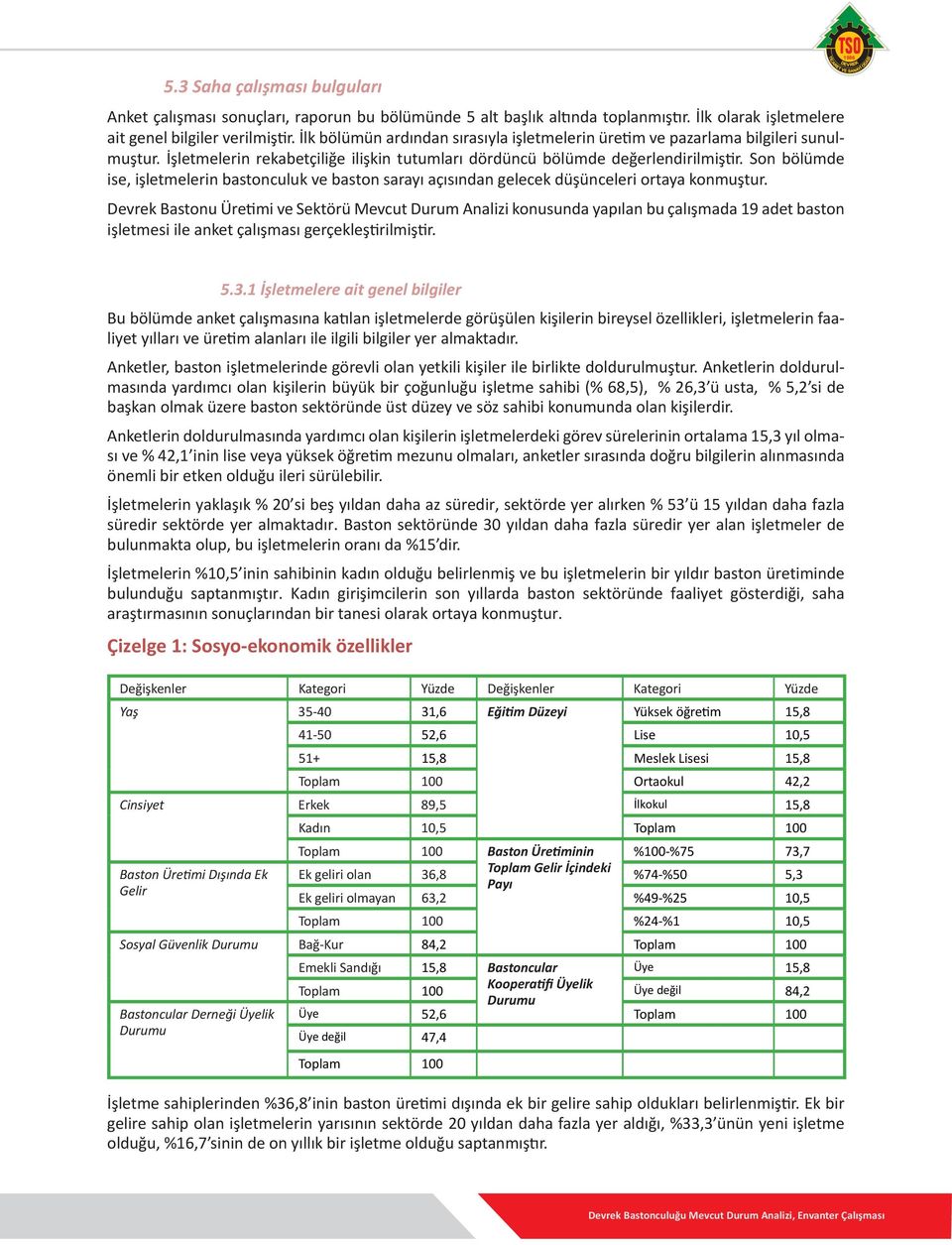 Son bölümde ise, işletmelerin bastonculuk ve baston sarayı açısından gelecek düşünceleri ortaya konmuştur.