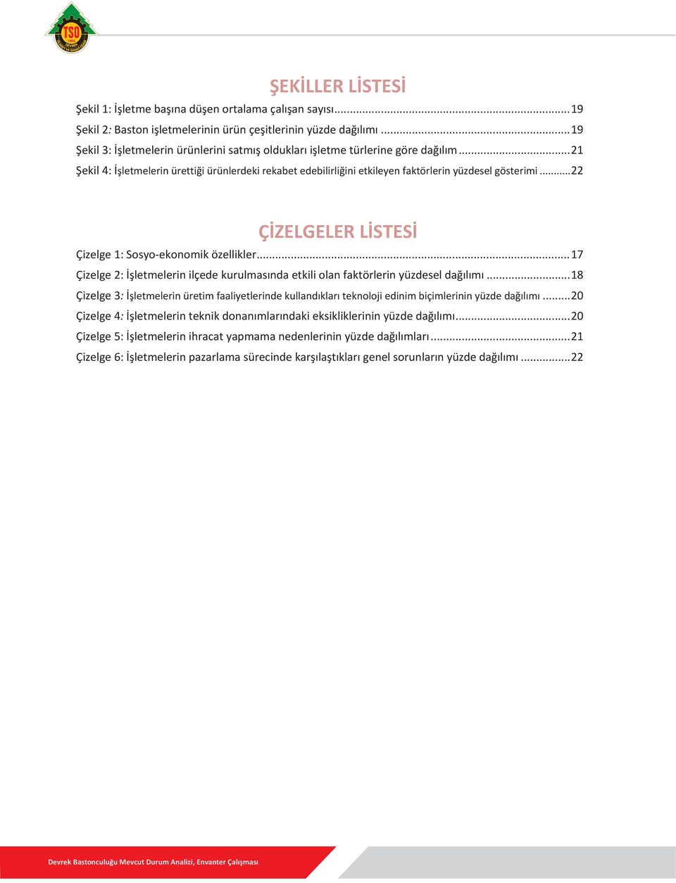 ..22 ÇİZELGELER LİSTESİ Çizelge 1: Sosyo-ekonomik özellikler...17 Çizelge 2: İşletmelerin ilçede kurulmasında etkili olan faktörlerin yüzdesel dağılımı.