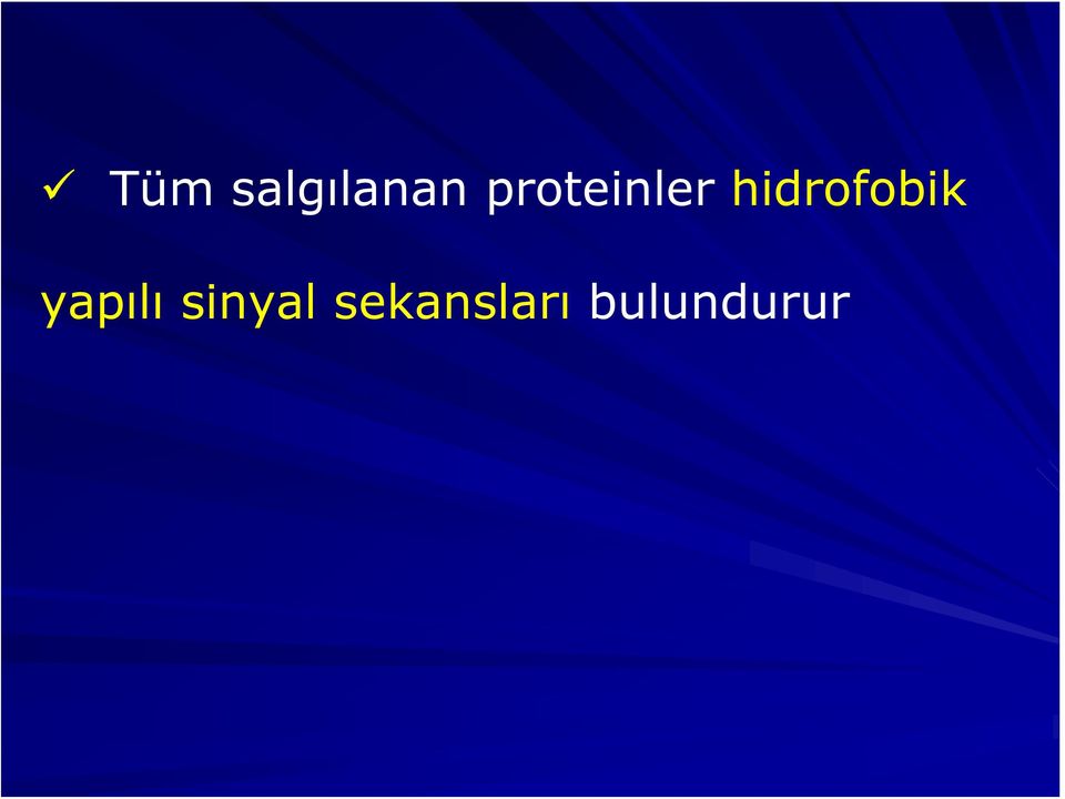 hidrofobik yapılı