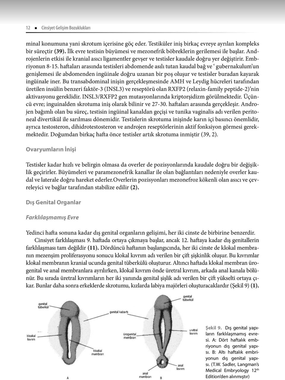 haftaları arasında testisleri abdomende asılı tutan kaudal bağ ve gubernakulum un genişlemesi ile abdomenden ingüinale doğru uzanan bir poş oluşur ve testisler buradan kayarak ingüinale iner.