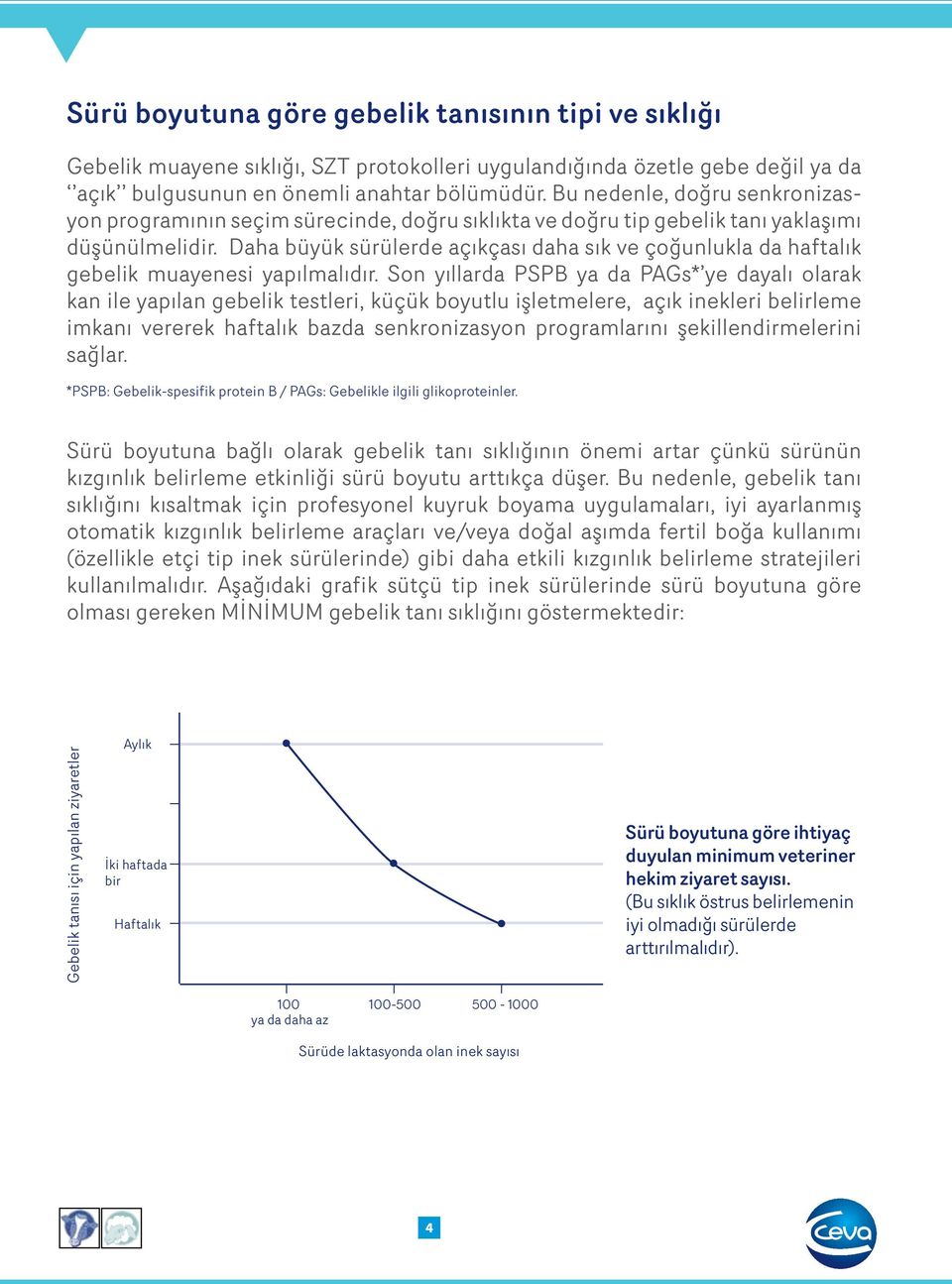 Daha büyük sürülerde açıkçası daha sık ve çoğunlukla da haftalık gebelik muayenesi yapılmalıdır.