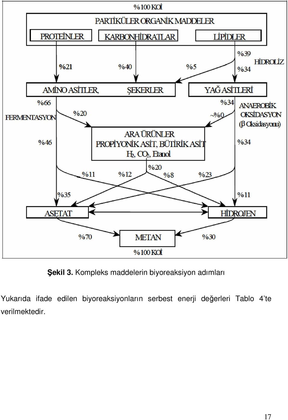 adımları Yukarıda ifade edilen