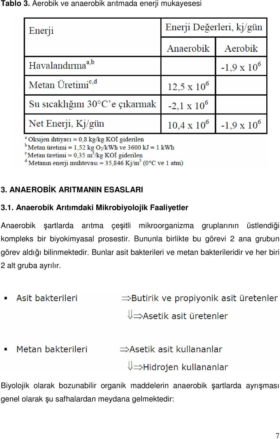 bir biyokimyasal prosestir. Bununla birlikte bu görevi 2 ana grubun görev aldığı bilinmektedir.