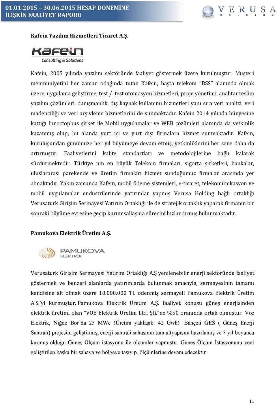 danışmanlık, dış kaynak kullanımı hizmetleri yanı sıra veri analizi, veri madenciliği ve veri arşivleme hizmetlerini de sunmaktadır.