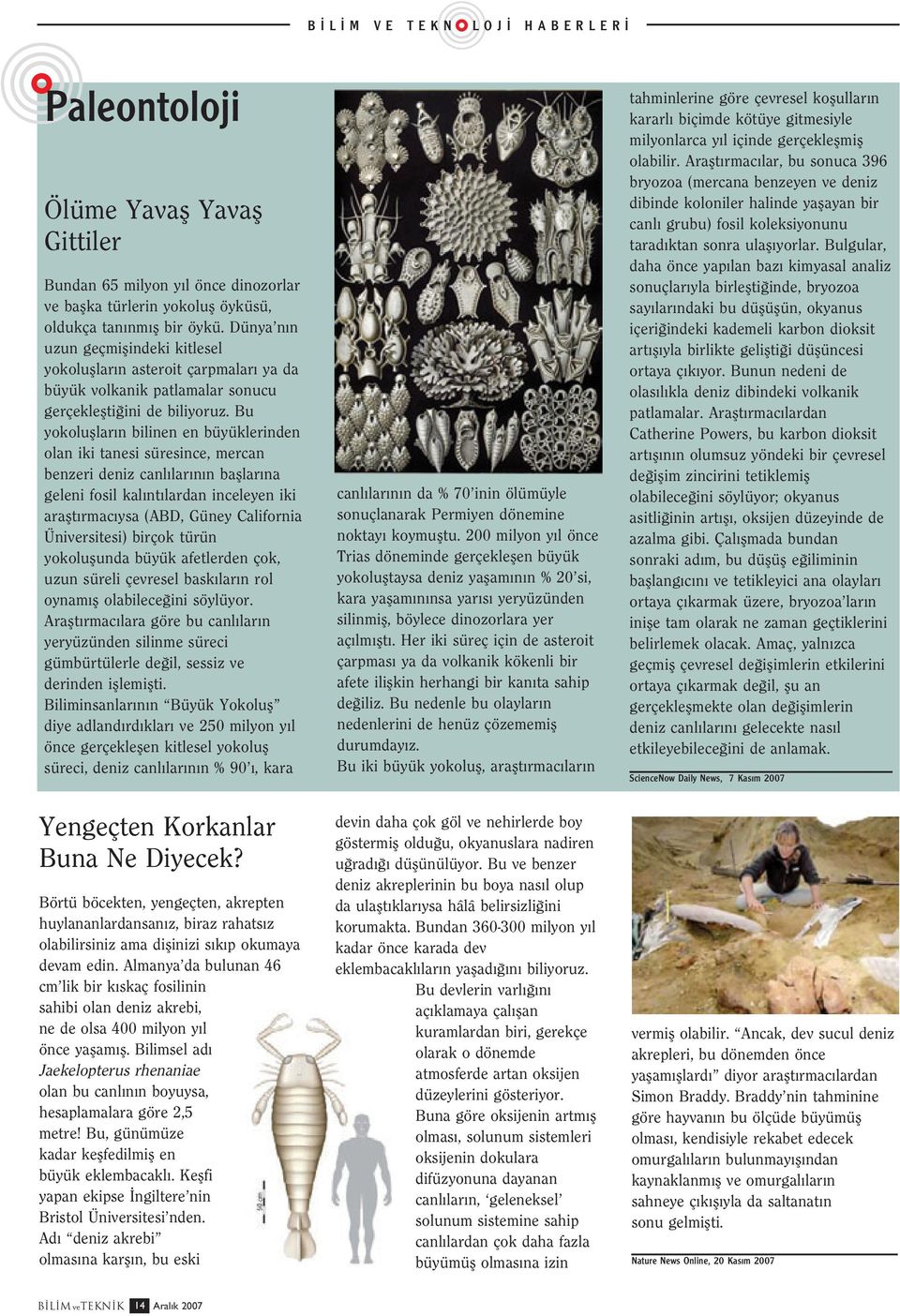 Bu yokolufllar n bilinen en büyüklerinden olan iki tanesi süresince, mercan benzeri deniz canl lar n n bafllar na geleni fosil kal nt lardan inceleyen iki araflt rmac ysa (ABD, Güney California