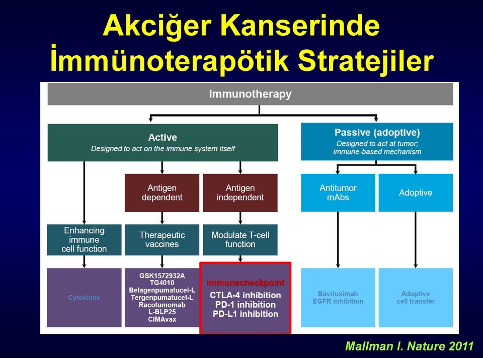 İmmünoterapötik