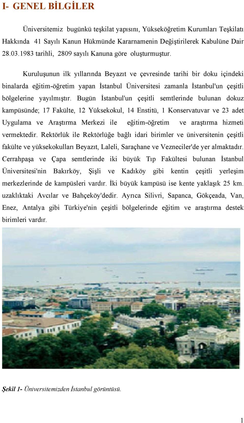 Kuruluşunun ilk yıllarında Beyazıt ve çevresinde tarihi bir doku içindeki binalarda eğitim-öğretim yapan İstanbul Üniversitesi zamanla İstanbul'un çeşitli bölgelerine yayılmıştır.