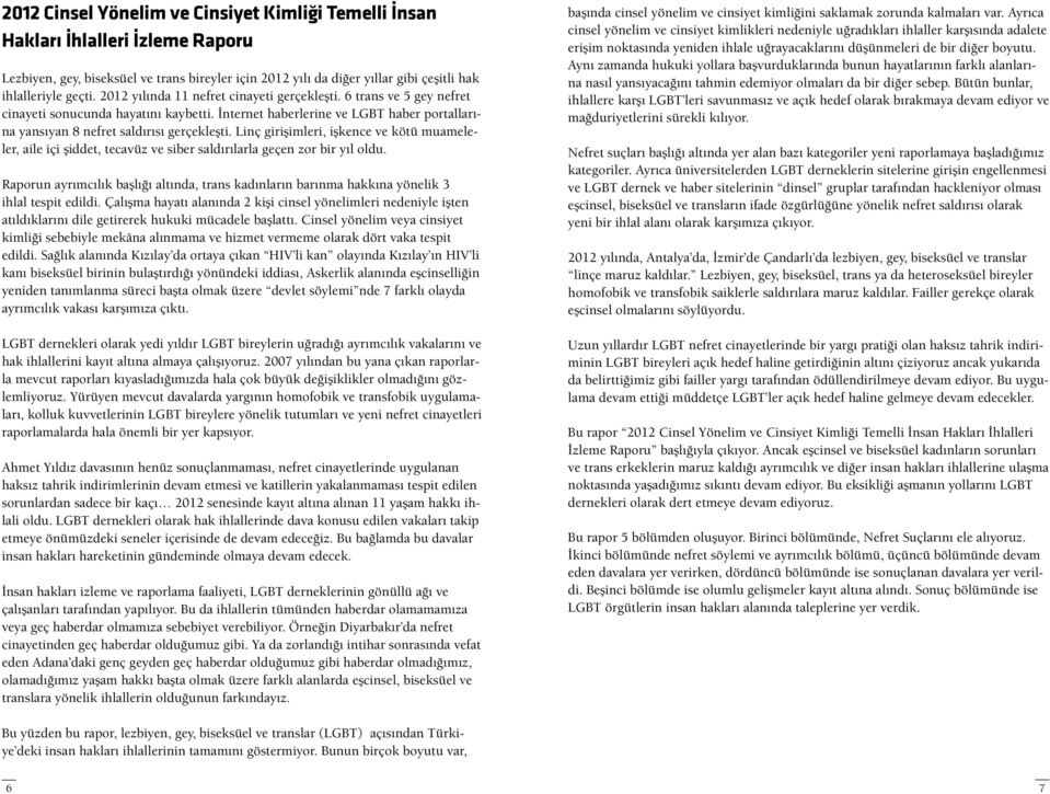 Linç girişimleri, işkence ve kötü muameleler, aile içi şiddet, tecavüz ve siber saldırılarla geçen zor bir yıl oldu.