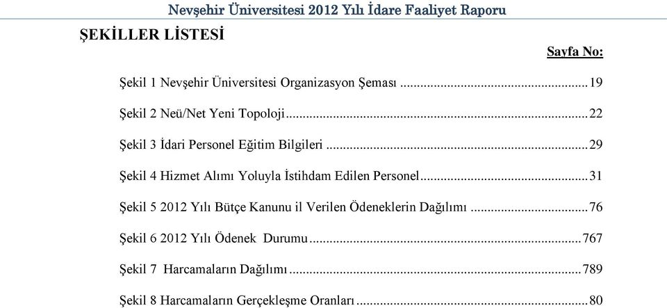 .. 29 Şekil 4 Hizmet Alımı Yoluyla İstihdam Edilen Personel.