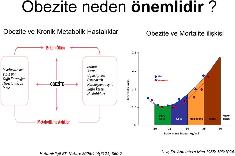 Obezite ve Mortalite ilişkisi Hotamisligil
