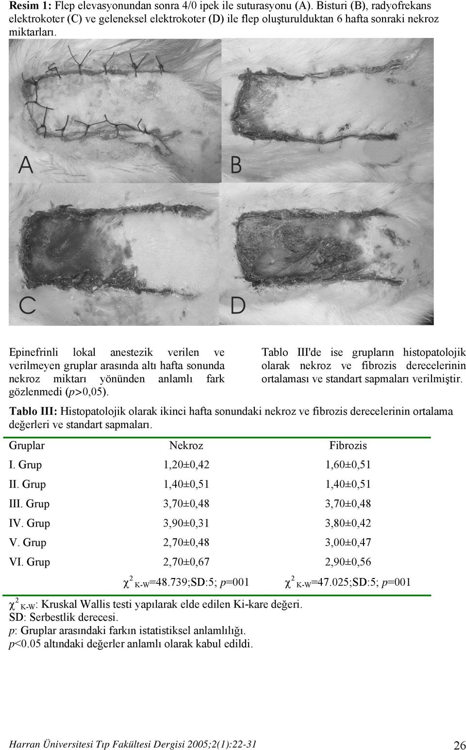Tablo III'de ise grupların histopatolojik olarak nekroz ve fibrozis derecelerinin ortalaması ve standart sapmaları verilmiştir.
