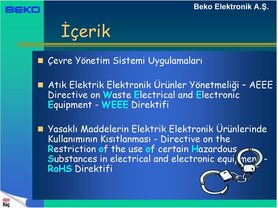 Elektrik Elektronik Ürünlerinde Kullanımının Kısıtlanması - Directive on the Restriction of