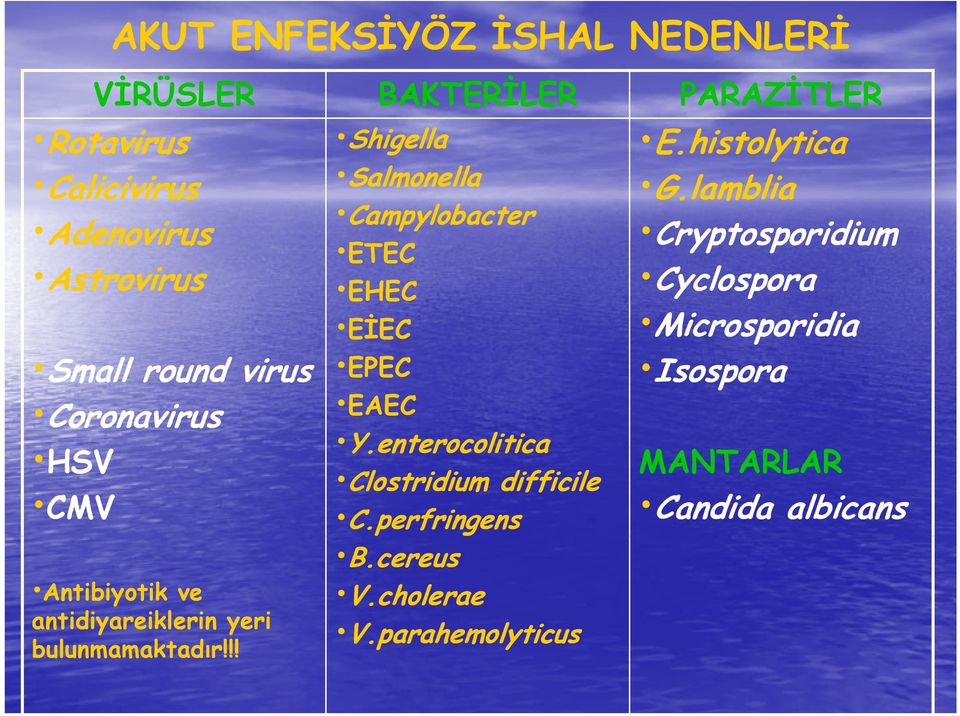 !! BAKTERİLER Shigella Salmonella Campylobacter ETEC EHEC EİEC EPEC EAEC Y.enterocolitica Clostridium difficile C.