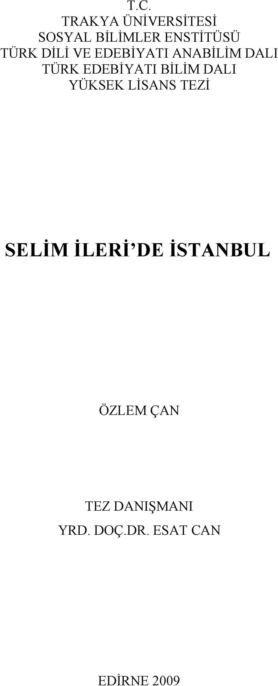 BİLİM DALI YÜKSEK LİSANS TEZİ SELİM İLERİ DE İSTANBUL