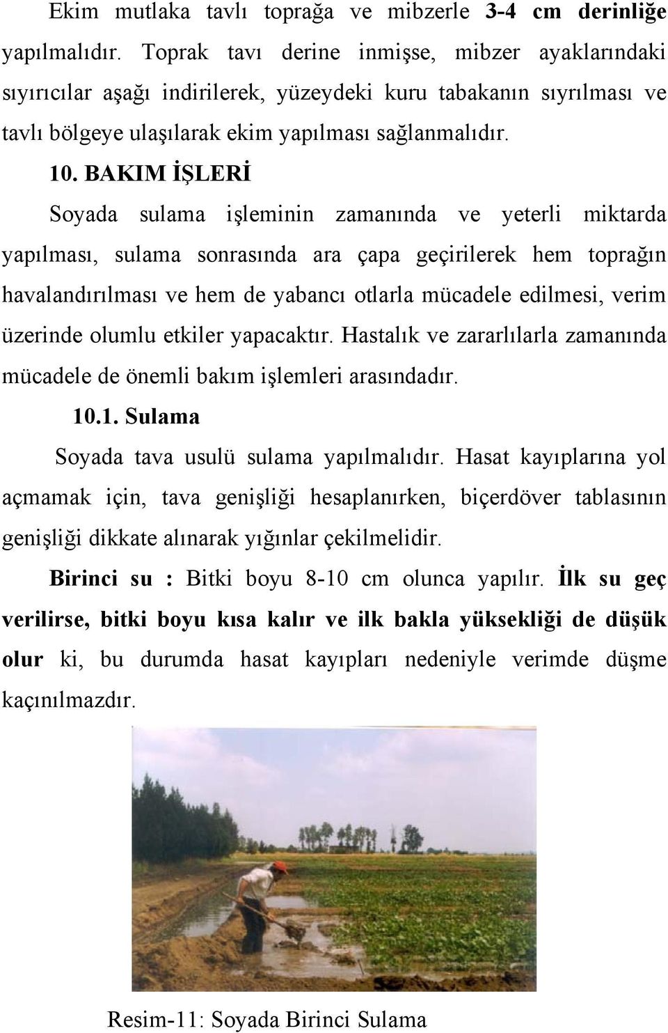 BAKIM İŞLERİ Soyada sulama işleminin zamanında ve yeterli miktarda yapılması, sulama sonrasında ara çapa geçirilerek hem toprağın havalandırılması ve hem de yabancı otlarla mücadele edilmesi, verim