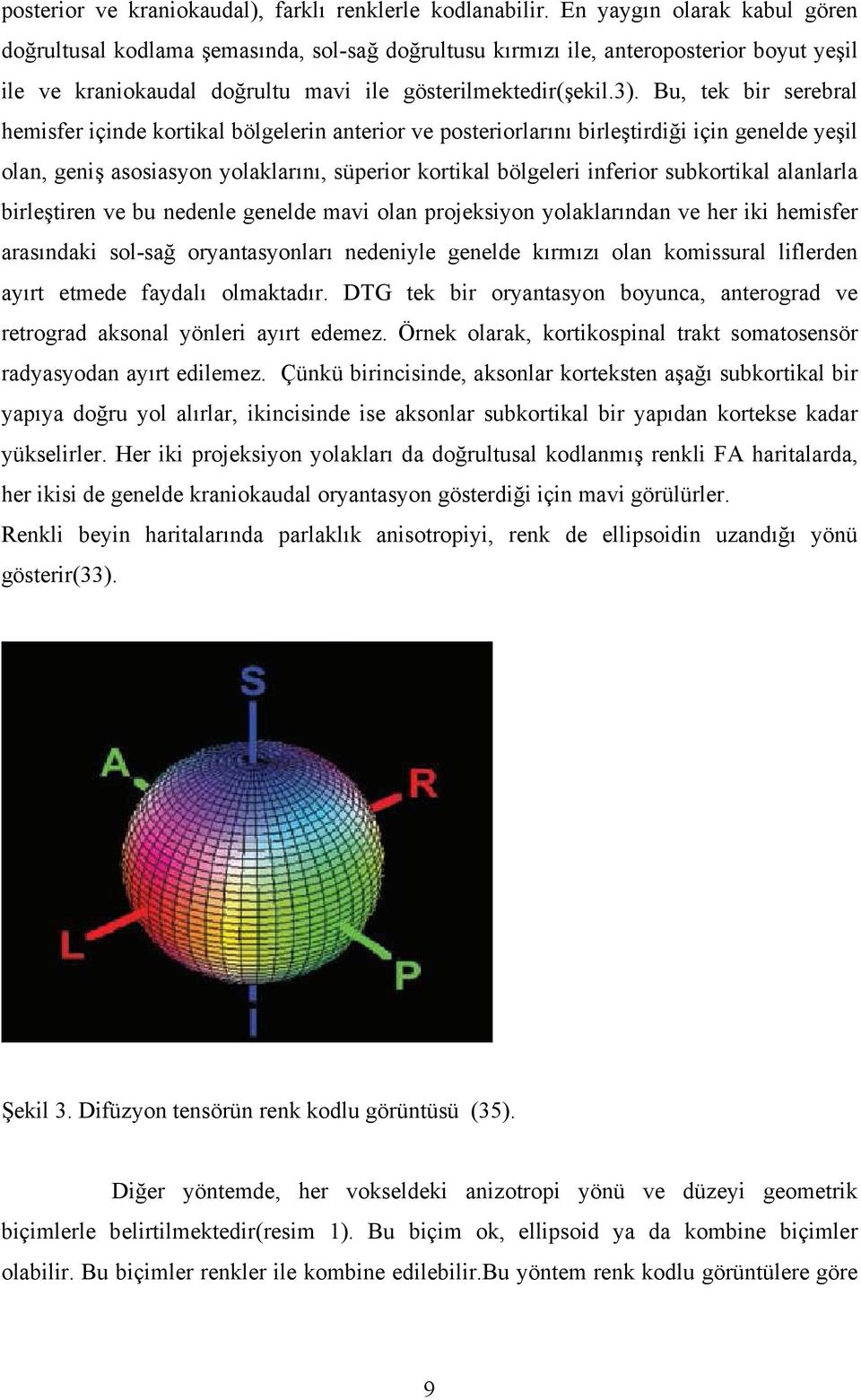 Bu, tek bir serebral hemisfer içinde kortikal bölgelerin anterior ve posteriorlarını birleştirdiği için genelde yeşil olan, geniş asosiasyon yolaklarını, süperior kortikal bölgeleri inferior