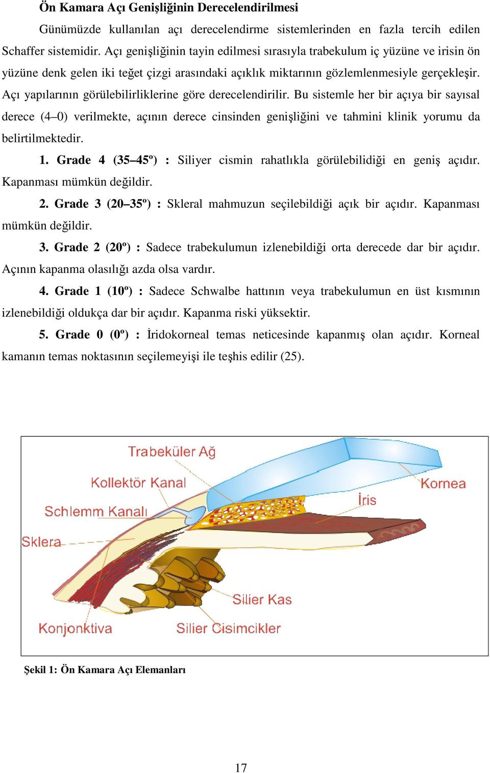 Açı yapılarının görülebilirliklerine göre derecelendirilir.