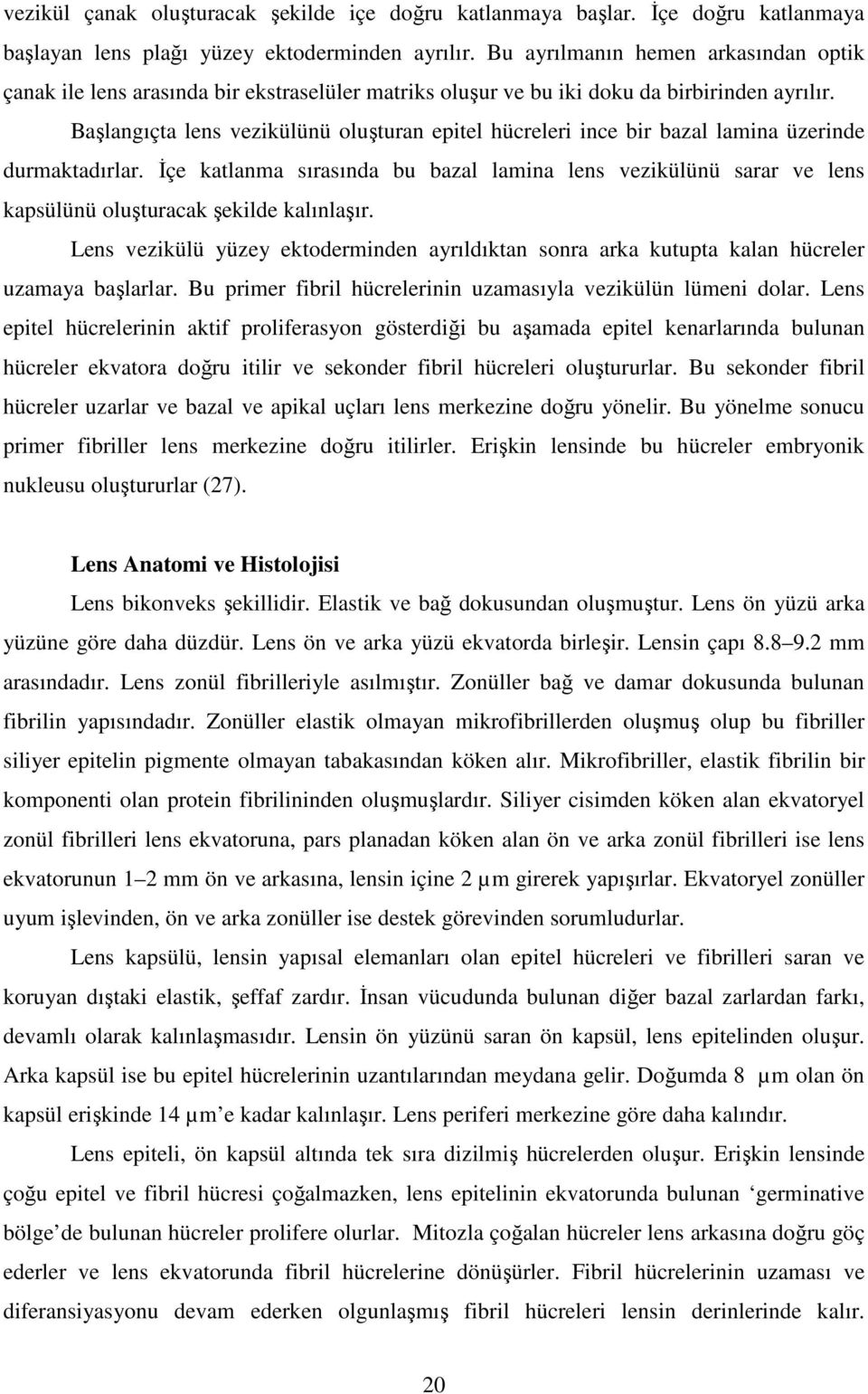 Başlangıçta lens vezikülünü oluşturan epitel hücreleri ince bir bazal lamina üzerinde durmaktadırlar.