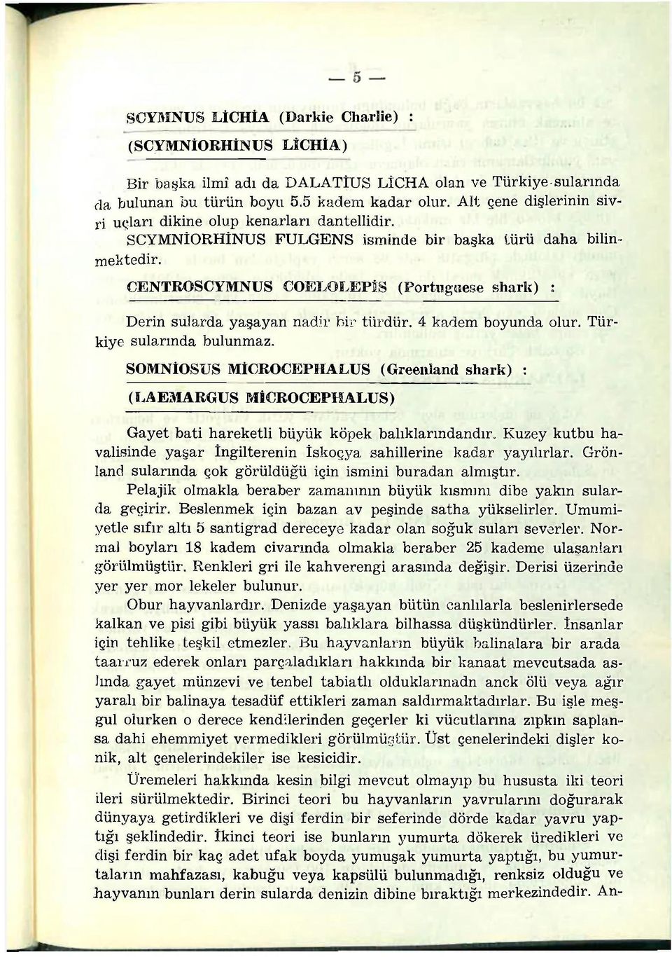 CENTROSCYMNUS COELOLEPÎS (Portııgııese shark) : Derin sularda yaşayan nadir bir türdür. 4 kadem boyunda olur. Türkiye sularında bulunmaz.