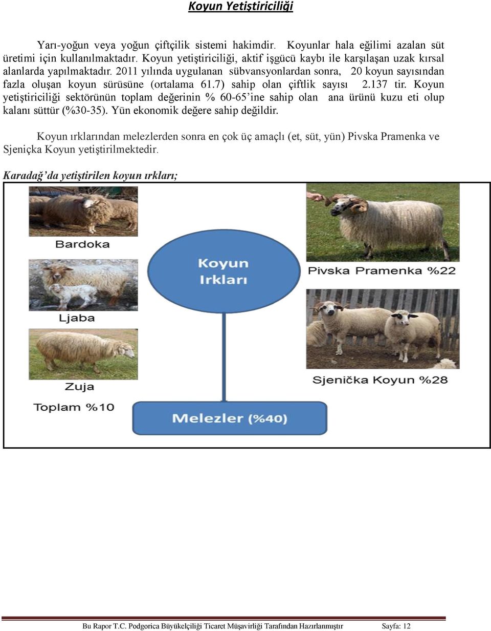 2011 yılında uygulanan sübvansyonlardan sonra, 20 koyun sayısından fazla oluşan koyun sürüsüne (ortalama 61.7) sahip olan çiftlik sayısı 2.137 tir.