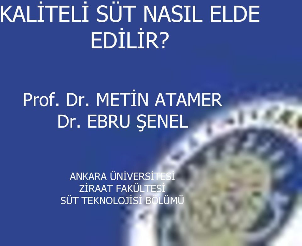 EBRU ŞENEL ANKARA ÜNİVERSİTESİ