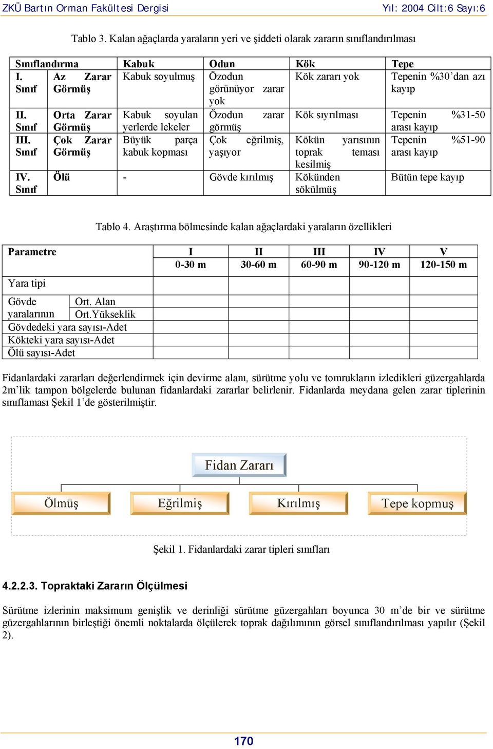 Orta Zarar Kabuk soyulan Özodun zarar Kök sıyrılması Tepenin %31-50 Sınıf Görmüş yerlerde lekeler görmüş arası kayıp III.