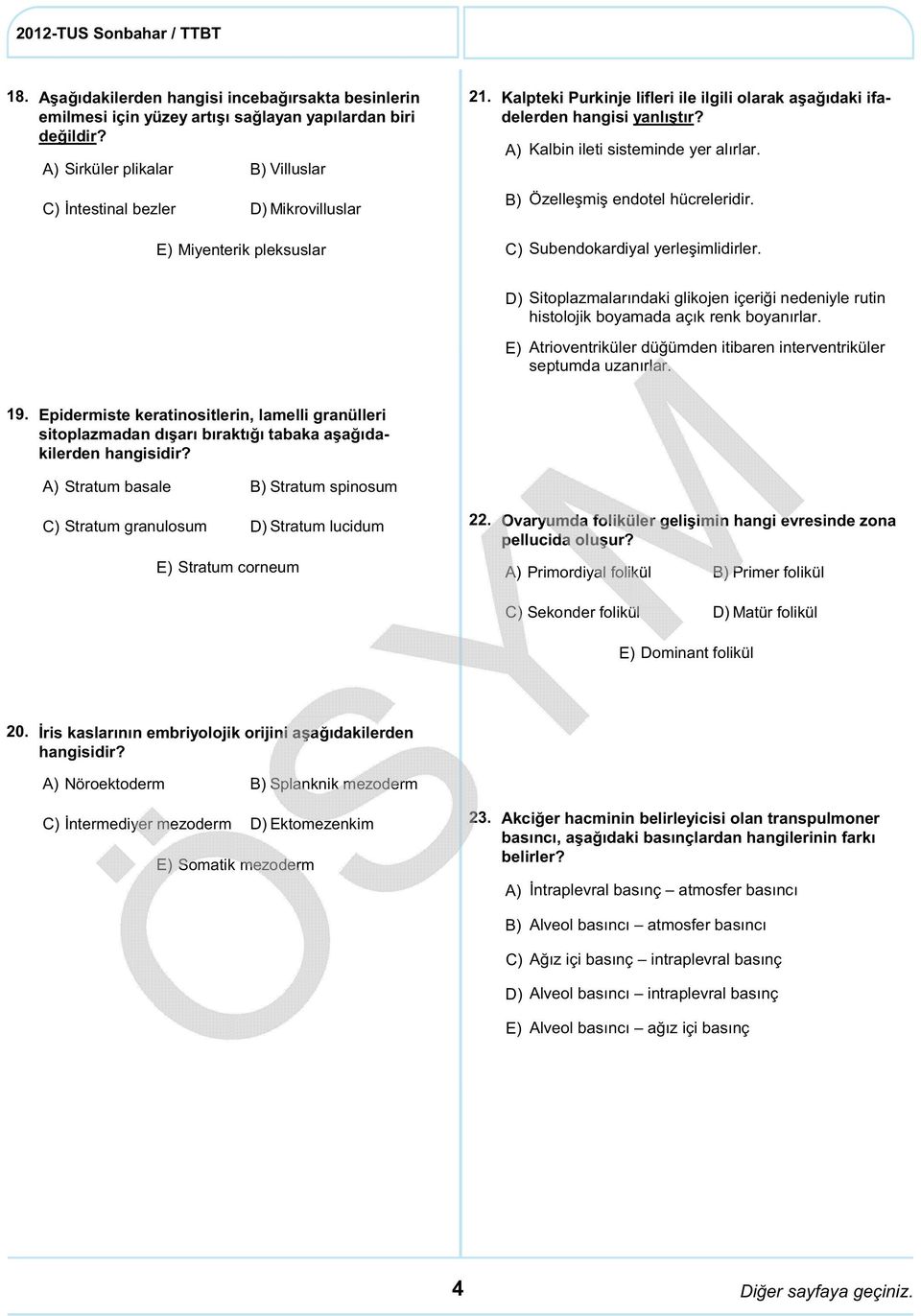 Kalbin ileti sisteminde yer alırlar. Özelleşmiş endotel hücreleridir. C) Subendokardiyal yerleşimlidirler.