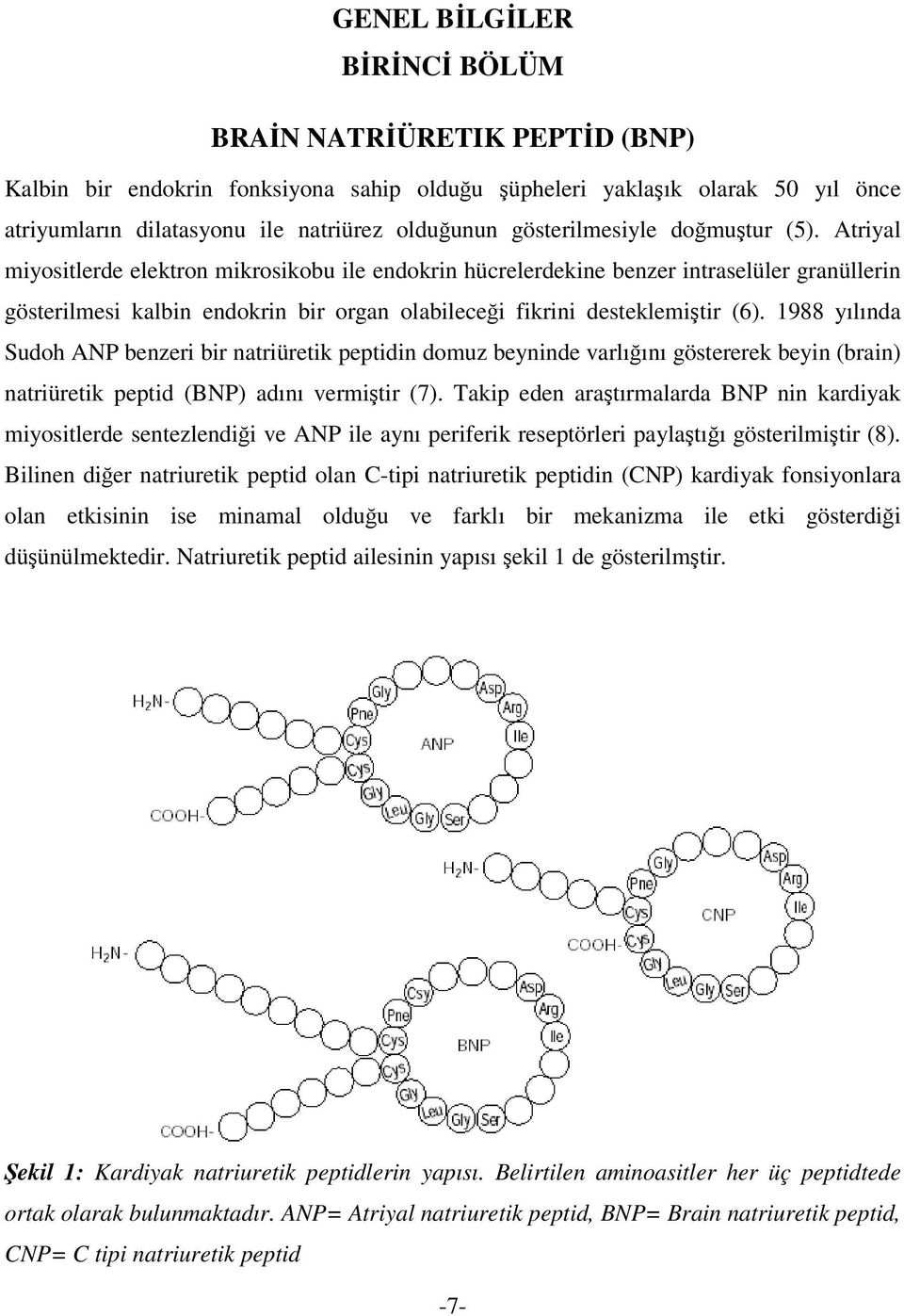 Atriyal miyositlerde elektron mikrosikobu ile endokrin hücrelerdekine benzer intraselüler granüllerin gösterilmesi kalbin endokrin bir organ olabileceği fikrini desteklemiştir (6).