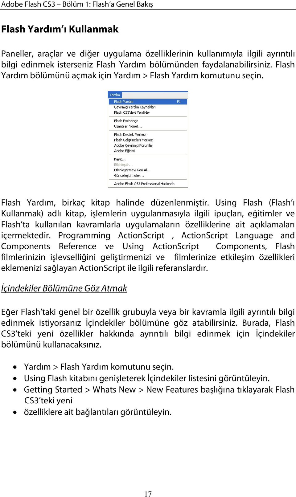 Using Flash (Flash ı Kullanmak) adlı kitap, işlemlerin uygulanmasıyla ilgili ipuçları, eğitimler ve Flash ta kullanılan kavramlarla uygulamaların özelliklerine ait açıklamaları içermektedir.